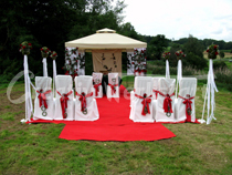 Amerikanische Hochzeit 1