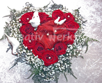 Amerikanische Hochzeit 4