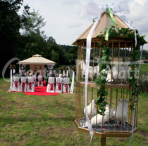 Amerikanische Hochzeit 8