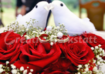 Amerikanische Hochzeit 13