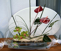 Herbst1