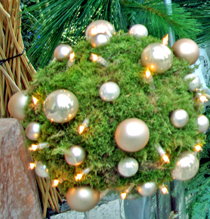 Schaufenster5